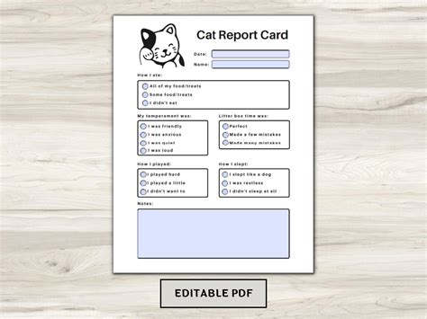 Pet Report Card Printable For Pet Sitter Business Cat Report Card Pet