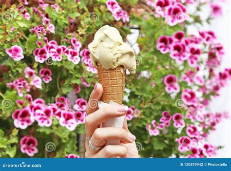 Helado Italiano Delicioso Helado Del Pistacho En Cono Foto De Archivo