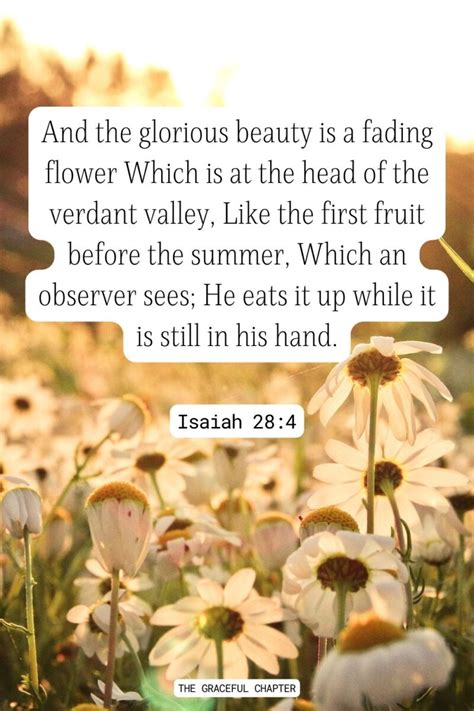 Bible Verses About Flowers The Graceful Chapter