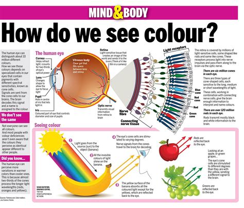 how do we see color psychology - Glendora Drayton