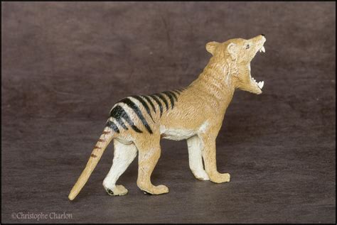 Southlands Replicas Thylacine The Toy Walkaround By Kikimalou