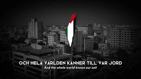 Leve Palestina Long Live Palestine Swedish Palestinian Song Youtube