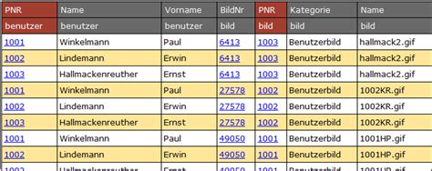 inf schule Verknüpfen von Daten Fachkonzept SQL Join