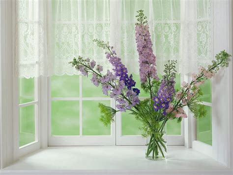 Flowers Gladiolus Bouquet Window Vase Hd Wallpaper Pxfuel