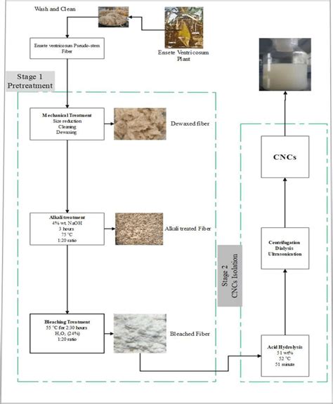 Schematic Illustration For The Raw Material Preparation Pretreatments