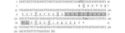 合浦珠母贝胸腺素β4 Thymosin Beta4 插核损伤和发育时期的表达研究