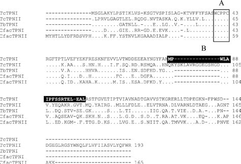 The Trypanosoma Cruzi Enzyme TcGPXI Is A Glycosomal Peroxidase And Can