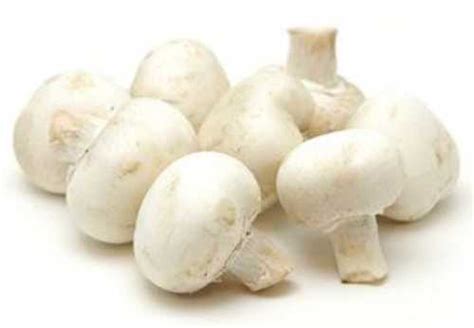 White Rich Protein Button Mushroom At Best Price In Surat Sonal