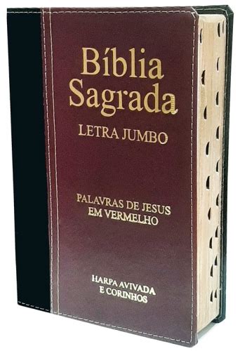 Bíblia Sagrada LETRAS JUMBO Maior Tamanho de Letras que Existe