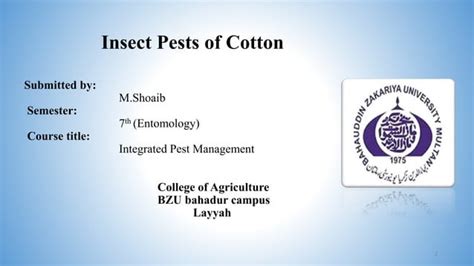 Sucking Pests Of Cotton PPT