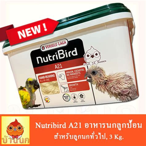 Nutribird A21 อาหารนกลูกป้อนสูตรนกทั่วไป, 3 Kg. | Lazada.co.th
