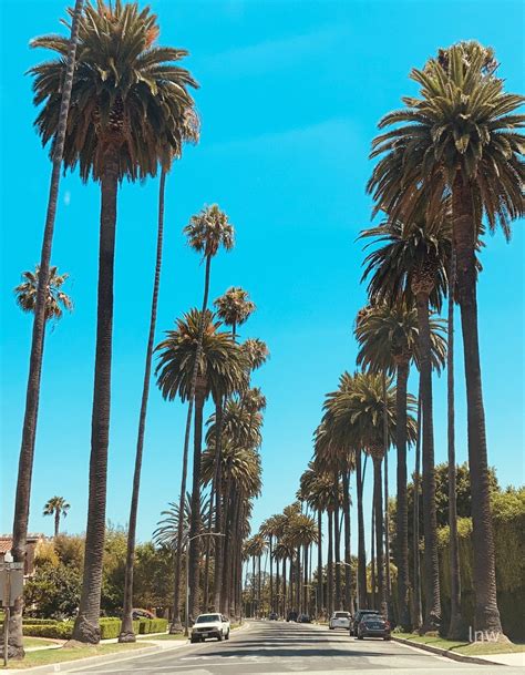 Beverly Hills La Gu A Definitiva Para Una Experiencia De Lujo Y