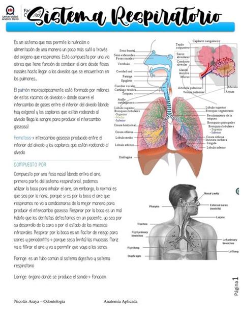 Generalidades Sistema Respiratorio Nicolás Araya uDocz