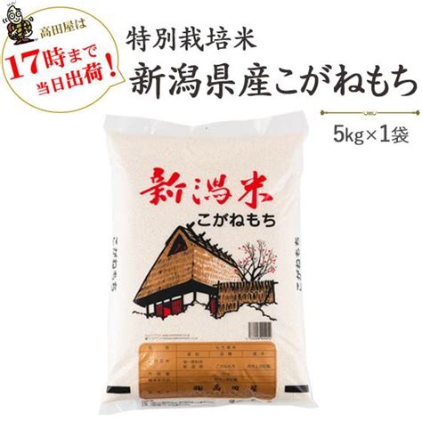 令和5年産 もち米5kg 特別栽培米新潟産こがねもち5kg 送料無料一部地域を除く 0102越後の米穀商 高田屋 通販