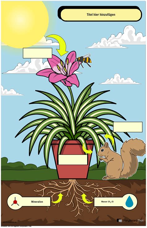 Photosynthese Diagramm Poster Storyboard Por De Examples