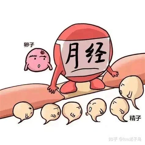 月经正常却不排卵是怎么回事？ 知乎