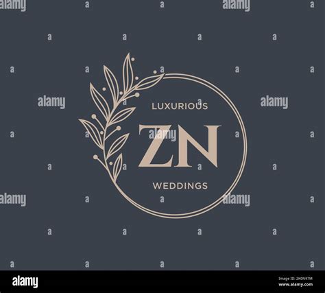 Zn Initials Letter Wedding Monogram Logos Template Hand Drawn Modern