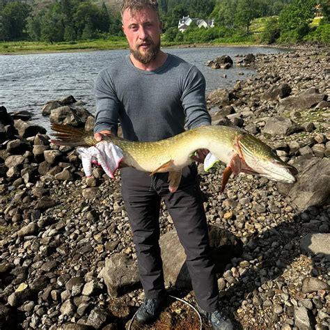 ᐅ Loch Lochy fishing reports🎣• Scotland, United Kingdom fishing