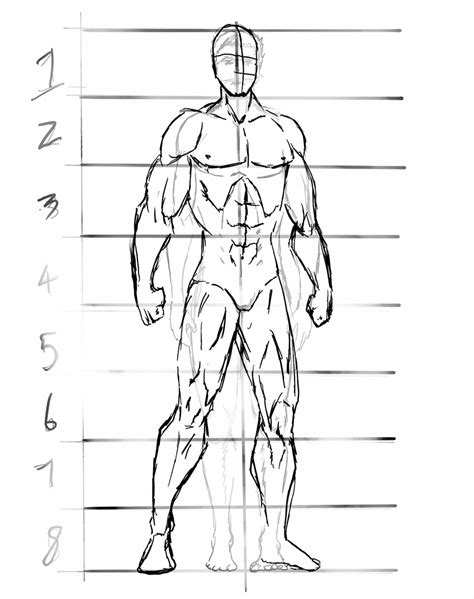 How To Draw Male Anime Bodies