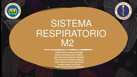 Sistema Respiratorio Dayana Elizabeth Vega Flores UDocz