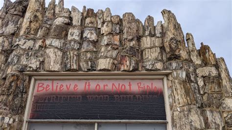 Petrified Wood Building Atlas Obscura