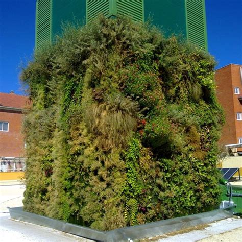 Stabilisierte Wandbegrünung VEGETAL COVER IN GETAFE MADRID