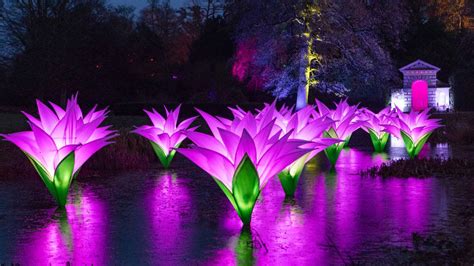 Fort Worth Botanical Garden Lightscape Opens With 1 Million Lights On