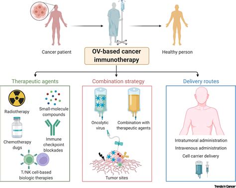 The Emerging Field Of Oncolytic Virus Based Cancer Immunotherapy Trends In Cancer