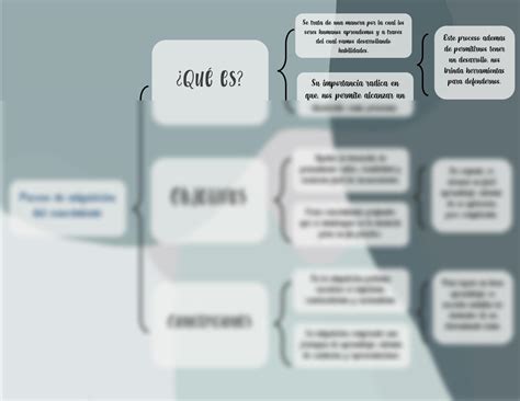 Solution Cuadro Sinoptico Del Proceso De Adquisici N Del Conocimiento