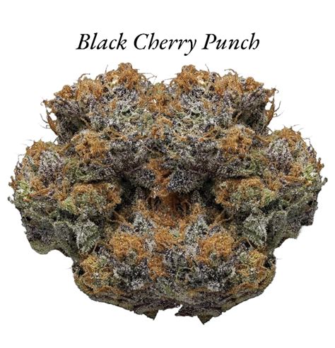 Black Cherry Punch - naturalhighdelivery.com