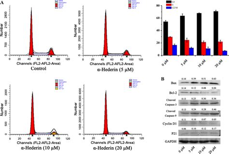 FCM methods and Western blot for assessment of α hederin on Eca 109