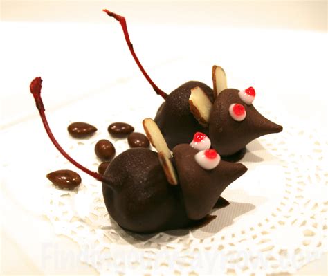 Chocolate Cherry Mice Candy Recipe Finding Our Way Now