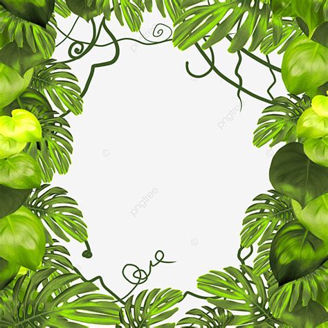 Hermoso Marco De Hojas Tropicales Naturales Png Dibujos Bosque