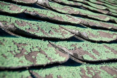 5 Of The Most Common Problems Found During A Shingle Roof Inspection In