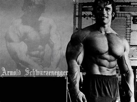 Arnold Schwarzenegger Conquer Wallpapers Wallpapersafari