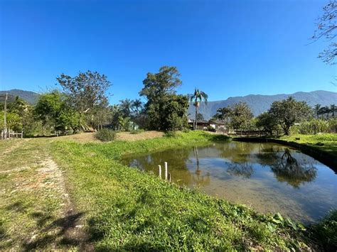 Fazenda Sítio na Estrada Quiriri 2840 Pirabeiraba Pirabeiraba em