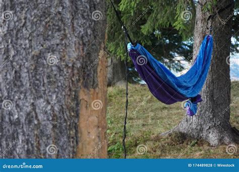 Wide Shot Of A Hammock Hanging Between Two Trees In A Grassy Terrain On