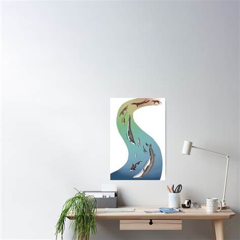 Whale Evolution Prehistoric And Modern Whales Poster For Sale By