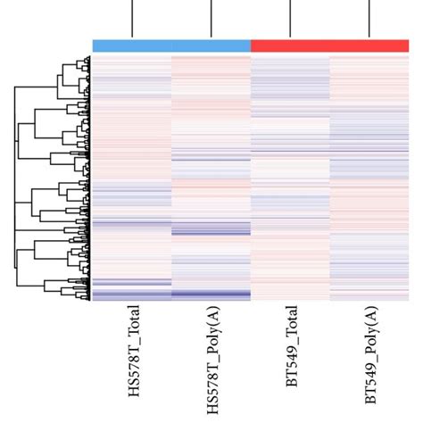 Cluster Results Of The Two Breast Cancer Cell Lines The Poly A And