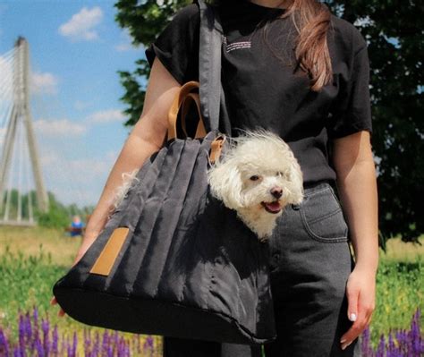 Gallone Behandlung Geneigt Pullover Mit Hundetasche Ringel Wo Dunkelheit