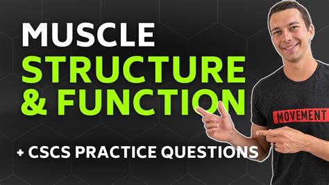 CSCS Chapter 1 Muscle Structure And Function With Practice Questions