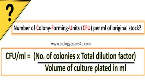 21 How To Calculate Cfu Ml Mabidrochimin