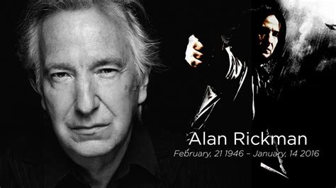 Remembering Alan Rickman Collider YouTube