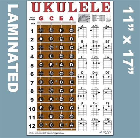 Buy Laminated Ukulele Fretboard Notes Easy Beginner Chord Chart