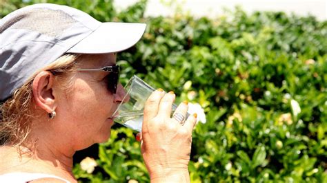 Paso A Paso Qué Hacer Para Evitar Golpes De Calor Infocielo