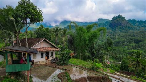 Suasana Di Pelosok Desa Cianjur Menjelang Bulan Ramadhan Munggahan