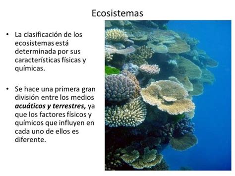 Clasificaci N De Los Ecosistemas Resumen Esquemas