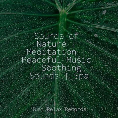 Sounds Of Nature Meditation Peaceful Music Soothing Sounds Spa