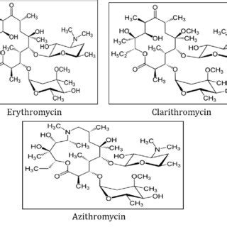 Chemical structure of macrolides (Nina S. Božinović, 2017) | Download ...