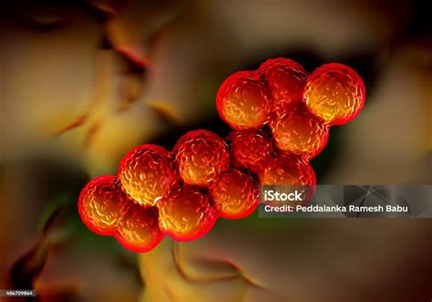 Bakteri Superbug Atau Bakteri Staphylococcus Aureus Foto Stok Unduh Gambar Sekarang Istock